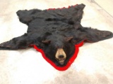 Black Bear Taxidermy Rug