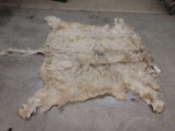 Brand New Soft Tanned Blonde Scottish Highlander Robe