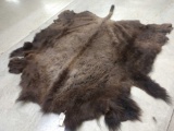 Nice Soft Tanned Buffalo Robe Taxidermy
