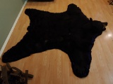 Huge Black Bear Rug Taxidermy