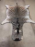 African Zebra Rug Taxidermy