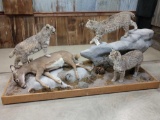 3 Alaskan Lynx Ready To Fight Over A Downed Whitetail Doe Full Body Taxidermy Mounts