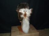 Swamp Booger Wearing A Coon Skin Cap Shoulder Mount Taxidermy