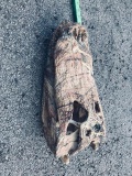 Large Cammo Alligator Skull