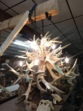 Beautiful Antler Chandelier