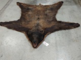 Unique Quad Color Black Bear Rug Taxidermy