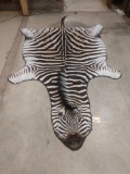 Beautiful African Zebra Rug Taxidermy