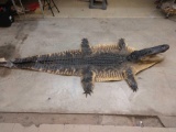 Alligator Skin Rug Taxidermy
