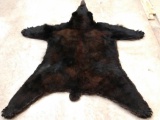 Black Bear Rug Taxidermy