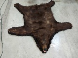 Brown Phase Black Bear Rug Taxidermy