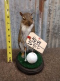 Golfing Squirrel Taxidermy Mount