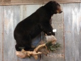 Big Black Bear Full Body Taxidermy Mount