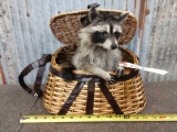 Raccoon Raiding A Fishing Creel Taxidermy