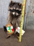 Raccoon Eating Peanut Butter Taxidermy