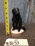 Baby Skunk Full Body Taxidermy Mount