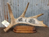 Scrimshawed Moose Antler