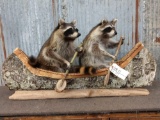 2 Raccoons In A Birch Bark Canoe Taxidermy Mount