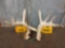 Heavy Mass Whitetail Shed Antlers