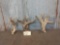 3 Sets Of Whitetail Antlers Cut Below The Burr