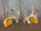 Main Frame 4 x 4 Whitetail Shed Antlers