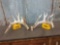 Main Frame 6x6 Whitetail Shed Antlers