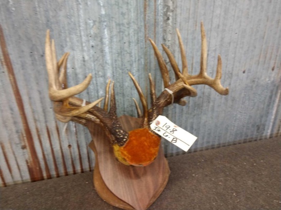 3 Whitetail Antlers On Plaques