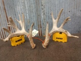 Main Frame 5 x 5 Whitetail Shed Antlers