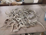 27.8 Pounds Of Whitetail Antler Chunks