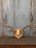 5x5 Elk Antlers On Plaque
