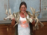 259 Class Whitetail Cut Off Antler