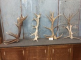 4 Sets Of Elk Antlers Cut Below The Burr