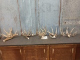 5 Sets Of Whitetail Antlers Cut Below The Burr