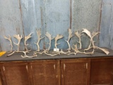15 Pounds Of Fallow Deer Shed Antlers