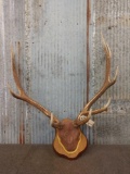 5x5 Elk Antlers On Plaque