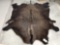 Tanned Buffalo Robe Taxidermy