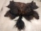 Soft Tanned Yak Skin Taxidermy