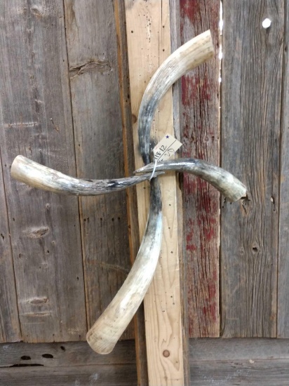 Texas Longhorn Cross Sculpture