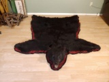 Black Bear Rug Taxidermy