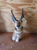 Pronghorn Antelope Shoulder Mount Taxidermy