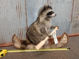 Raccoon In A Birch Bark Canoe Taxidermy