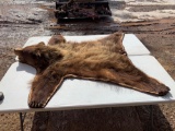 Grizzly Bear Rug