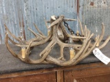 Reproduction Antler Chandelier