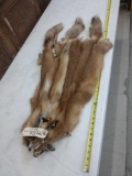 4 Soft Tanned Red Fox Furs Taxidermy