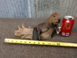 Baby Beaver Full Body Taxidermy Mount