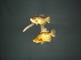 2 Crappie On Driftwood Real skin Fish Taxidermy