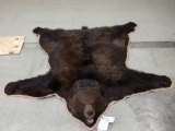 Alaskan Brown Bear Rug Taxidermy