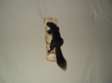 Black Squirrel Climbing On Birch Slab Taxidermy