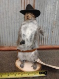 Gunslinger Squirrel Taxidermy Mount