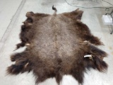 Soft Tanned Buffalo Robe Taxidermy