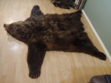 Vintage Brown Bear Rug Taxidermy